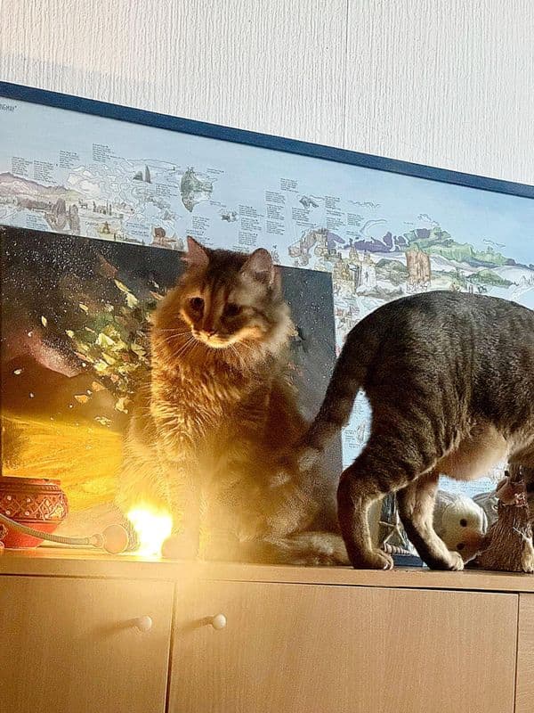 клиент